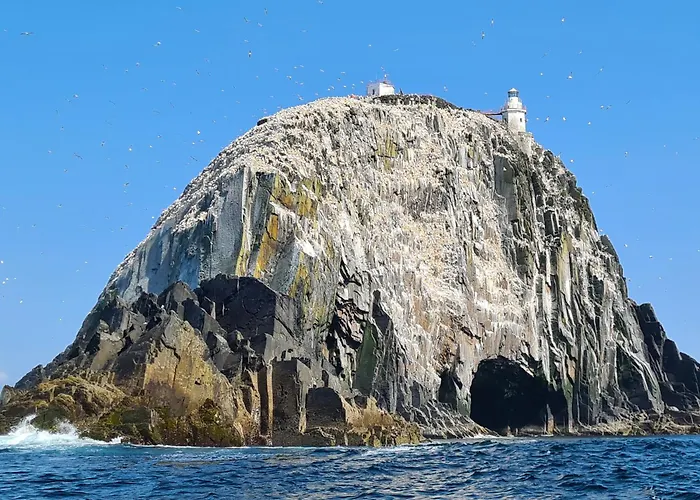 Casey House * Каслтаунбер