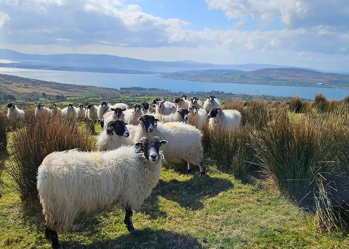 Casey House Дом отдыха